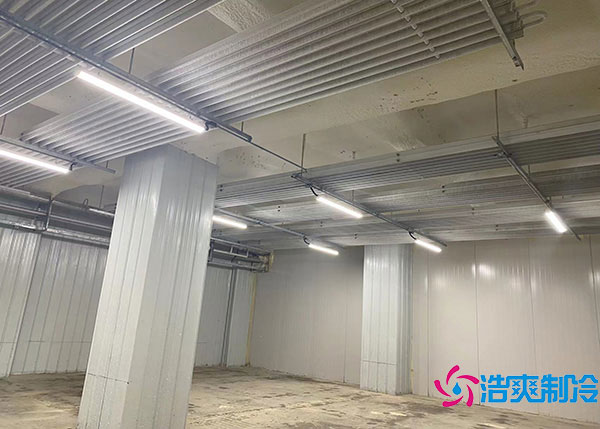 600噸貨物需要建造多大的冷藏庫？.jpg